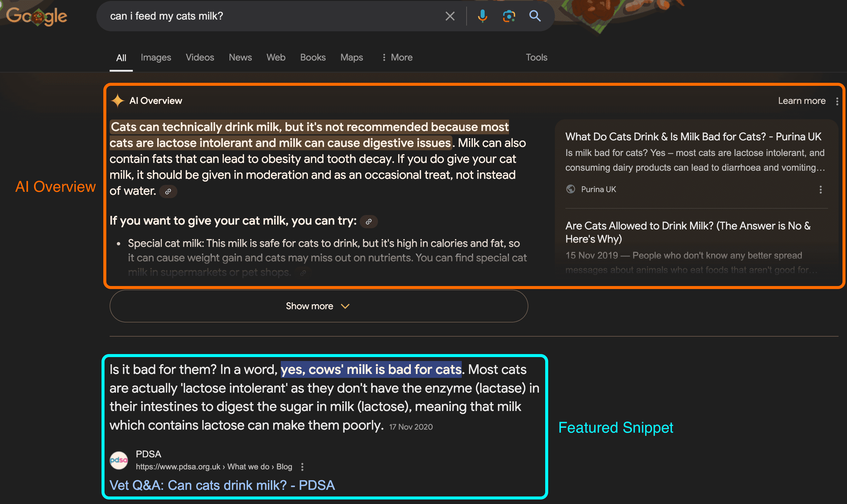 AI Overview example from UK, August 2024